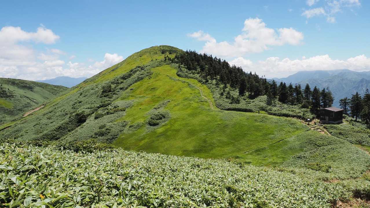 巻機山、夏空の夫婦登山 の写真 32