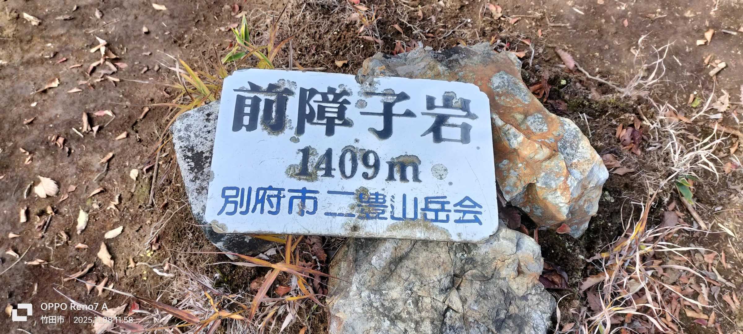 登りました🦵