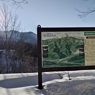 桜坂駐車場付近まで無事下山〜👍