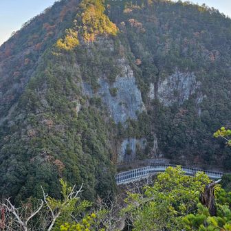 県道を通ったときはスノーシェッドで見えなかった岩壁が、目の前に。
高度感がすごい。