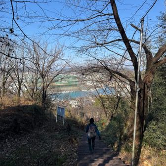 正規道が通行止めの為、北側の迂回路へ。ヨットハーバーへと降りて行く。