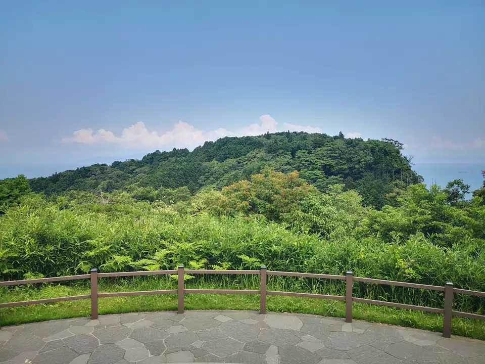 有度山　　風景画 有度山（静岡・307m）| 登山ルート・天気 | YAMAP / ヤマップ