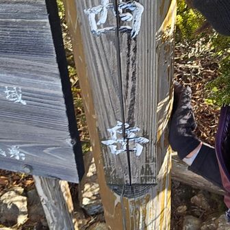 西岳着
何気にうれしくて