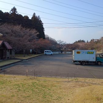 タイタニック岩から一気に下山して親水公園に到着。お疲れ様でしたー！😆

親水公園の桜だけ満開前で残念だったけど大川戸のミツマタ、大川戸鉱泉そばのニリンソウ、雨巻山直下の沢コースのネコノメソウ、キクザキイチゲ、そして一番のお目当てであったカタクリ群生エリアでカタクリの花🌸を存分に楽しく観察出来ました。

春の日差しを浴びたカタクリの花は思いっきり反り返りクルリンとしてとても可愛いかったです😆

また登りに来ま～す＞雨巻山
