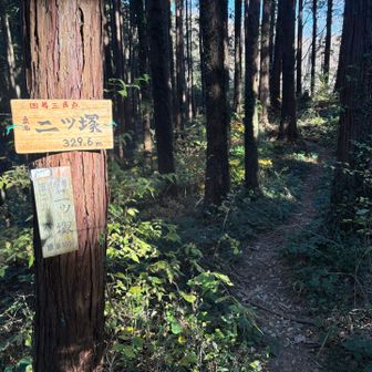 二ツ塚329.6m山頂！
YAMAP的にはここが倉戸山の山頂だったけど？🤔