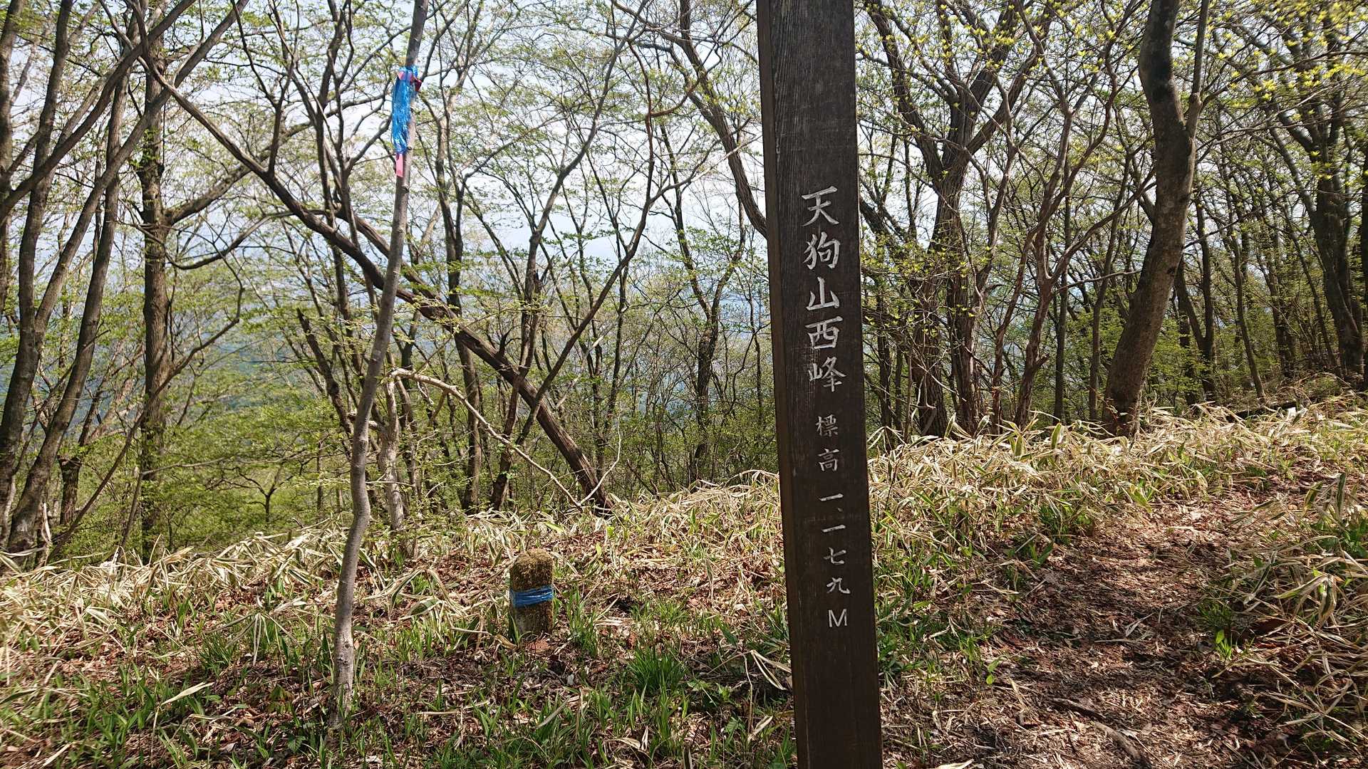 天狗山西峰、登頂🏕️
ここも展望イマイチ