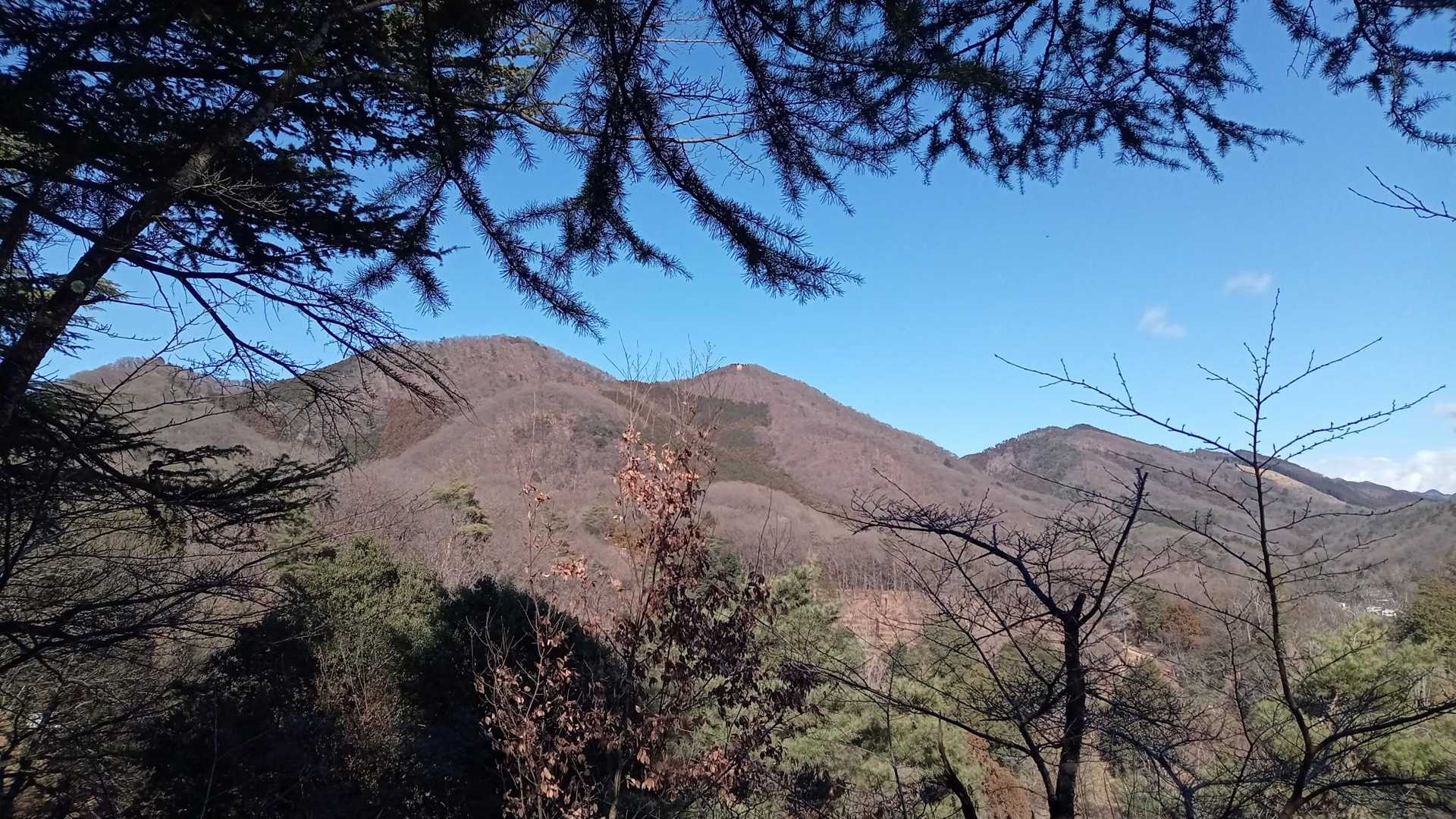 お久しぶりでやんした(ヽ´ω`)
ありがとうございました♫
