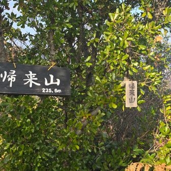 帰来山～⛰️さて折り返し