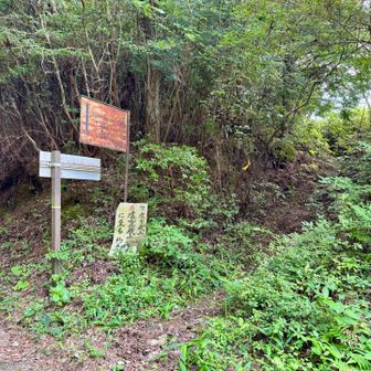 登山口