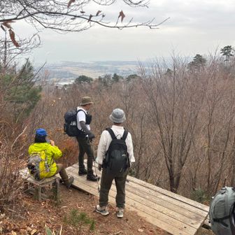 崖の上に展望台