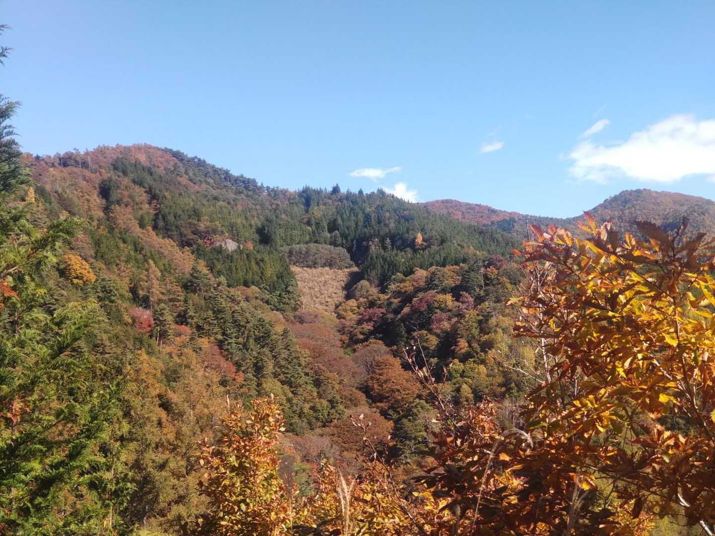 うん、気持ちいい🍁