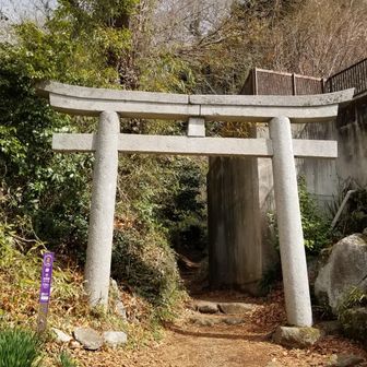 白雲橋コースの登山口。