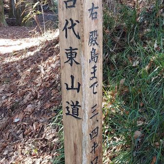 知らない名前でした