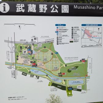 武蔵野公園の案内板。