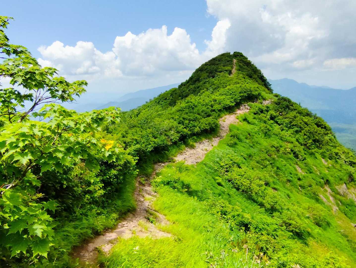 斜めっている登山道　感覚がおかしくなります😳