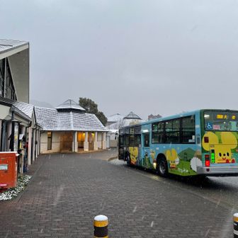 もう既に雪❄️