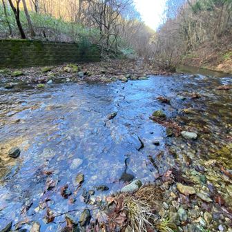 下りは沢コース
