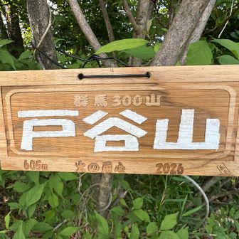 群馬300山なのね⛰️