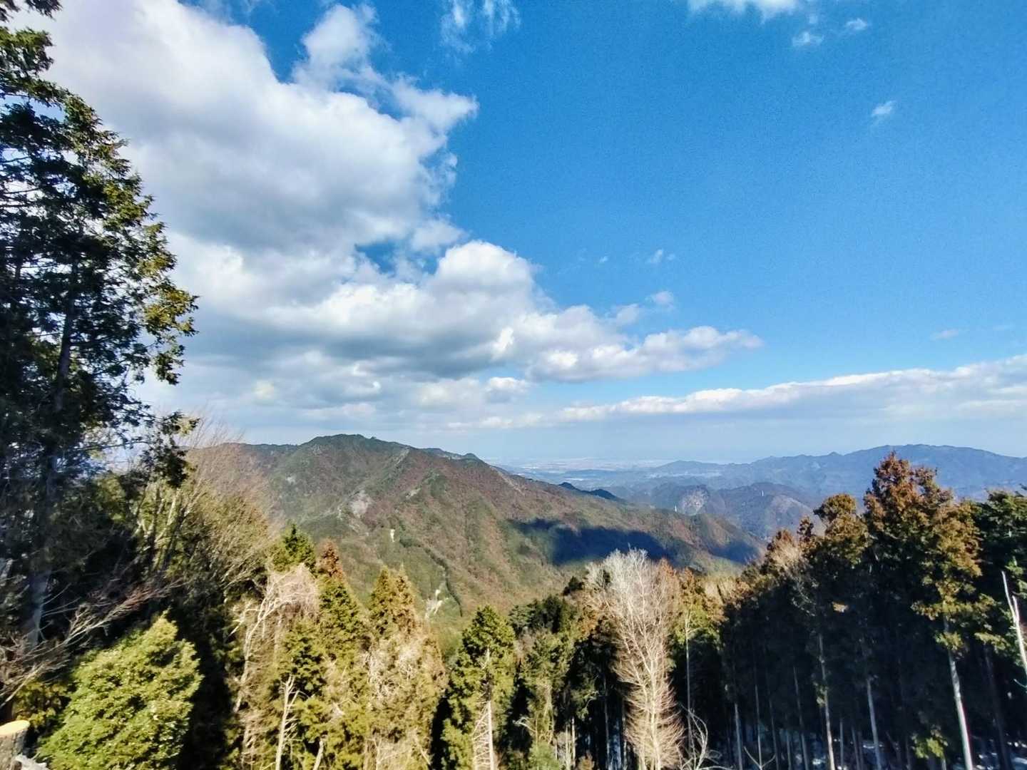次は絶対矢頭山ね😉