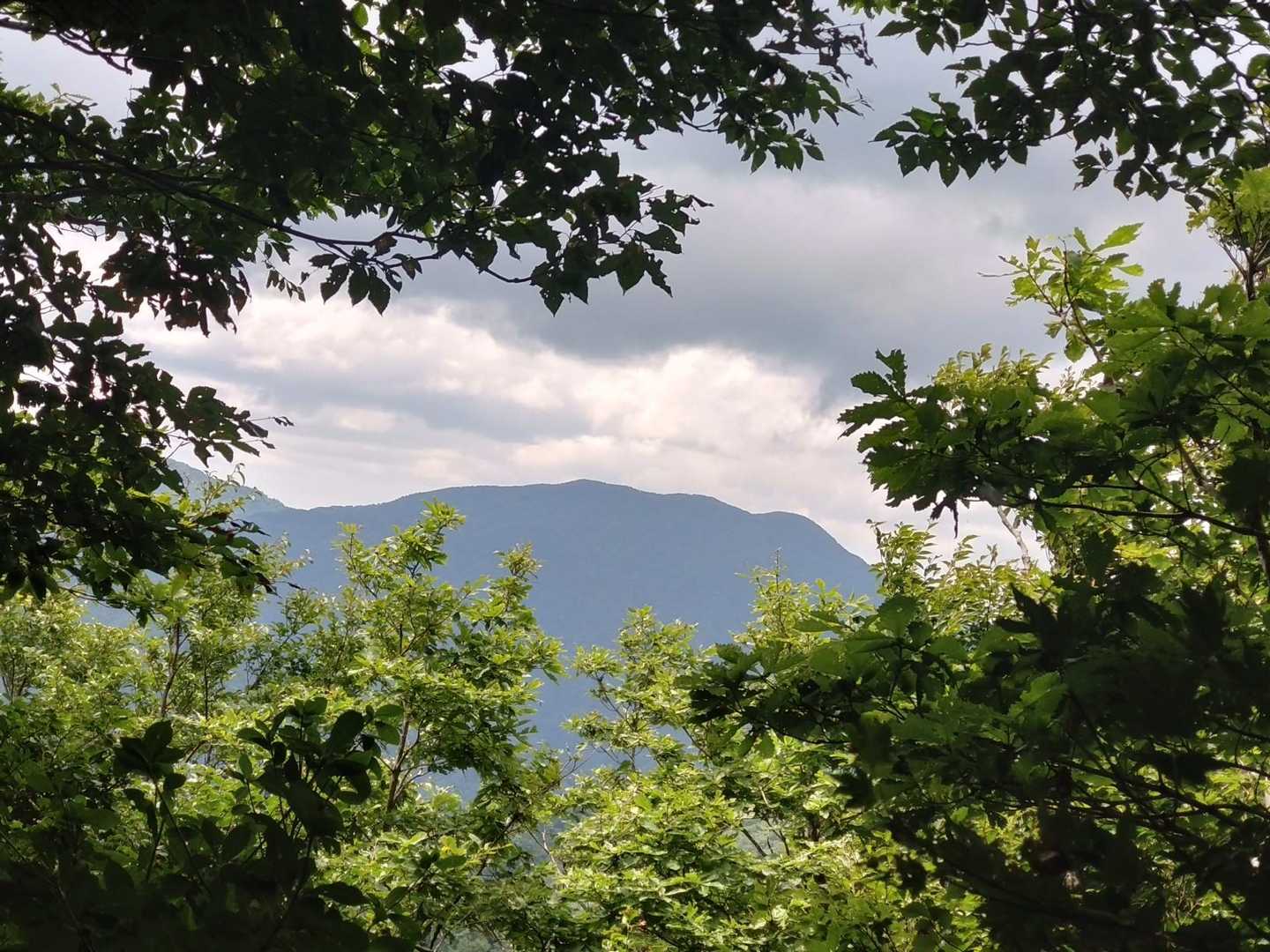 富士写ヶ岳
富士写ってこんななだらかな山だった？