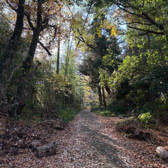 何か鎌倉古道を歩いているかのような雰囲気
同じ氣を感じた😯