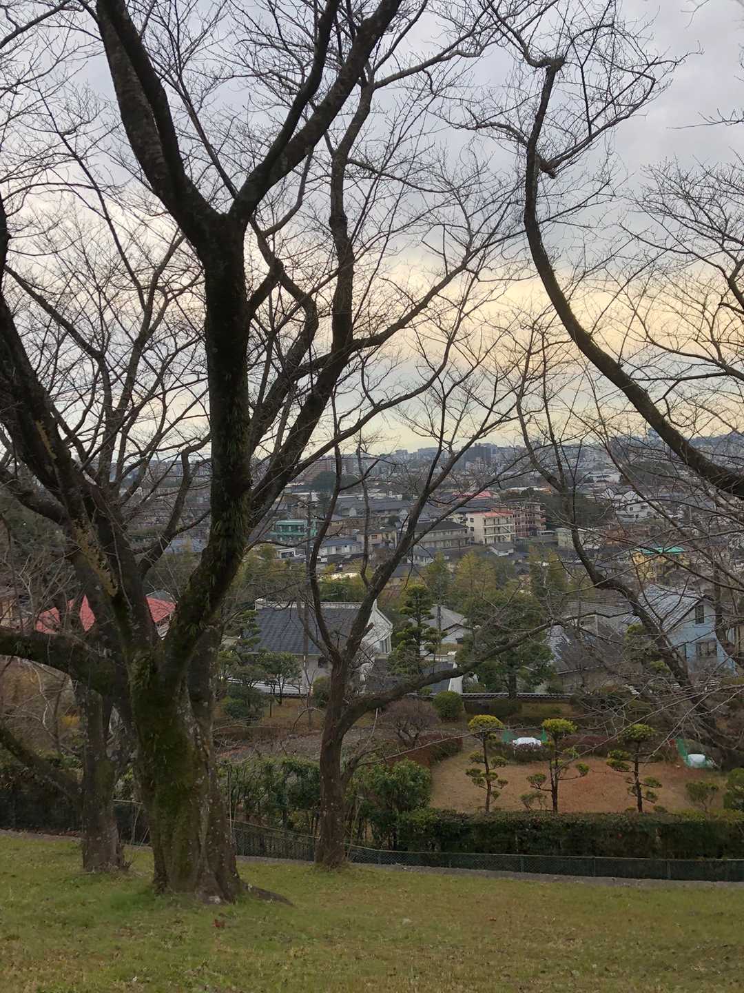 黒髪方面、熊本大学あります。