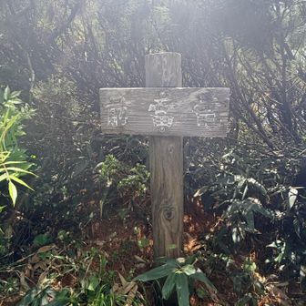 そしてすぐに前雷電山の山頂に到着🙌🏻