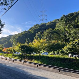 駐車場はまだスキスキ