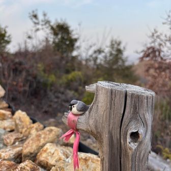 チュン太𓅫⸒⸒
知らんけど