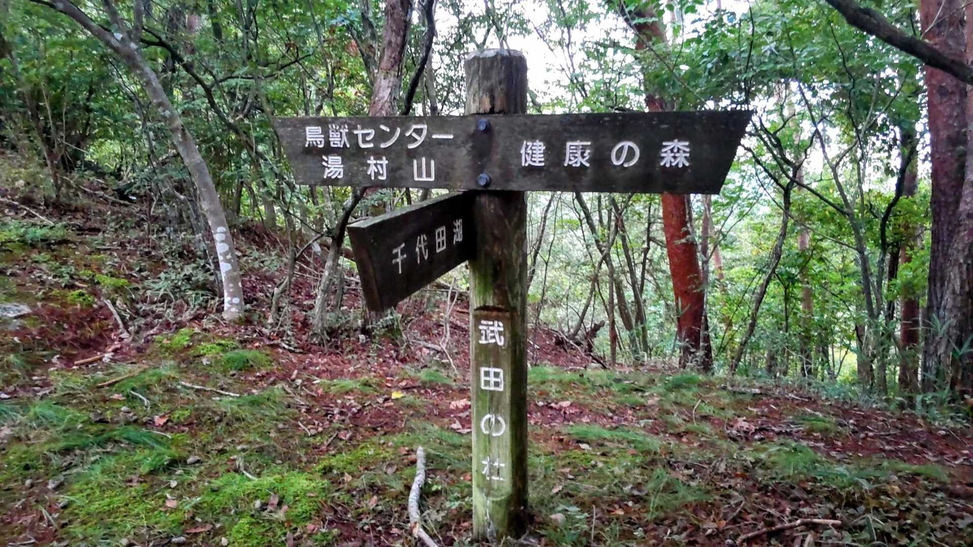 武田の杜到着
湯村山方面へ🚶‍♂️