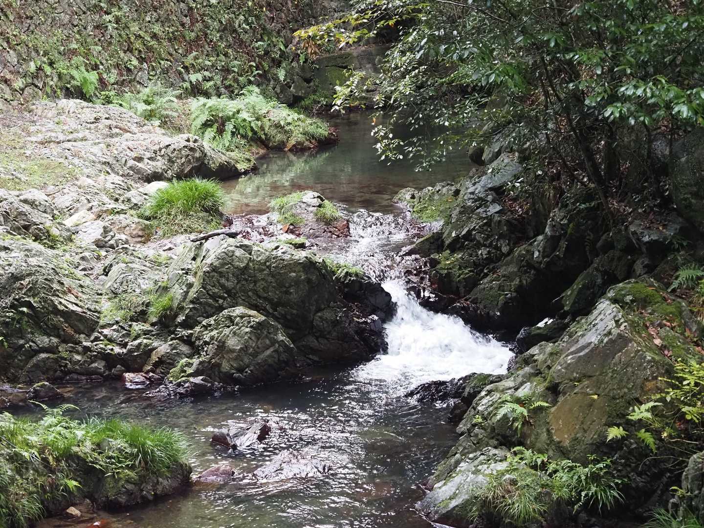 滝