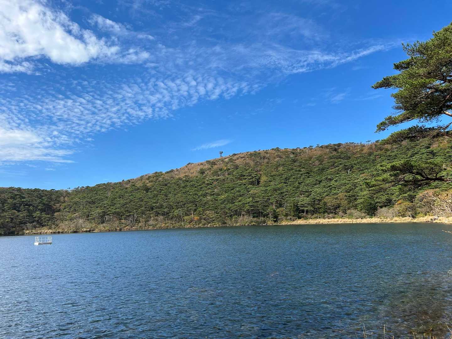 白鳥山-六観音堂 往復コースの写真