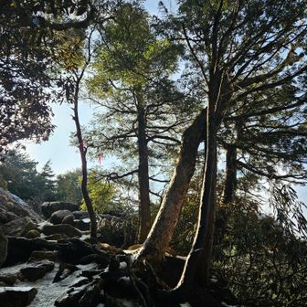 　朝日🌞を受けて、✨キラキラ　と