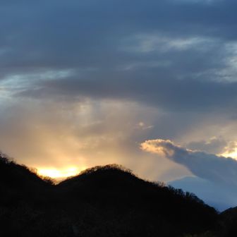 私は夕暮れにお山にまだいることがないので初めての経験でした💗