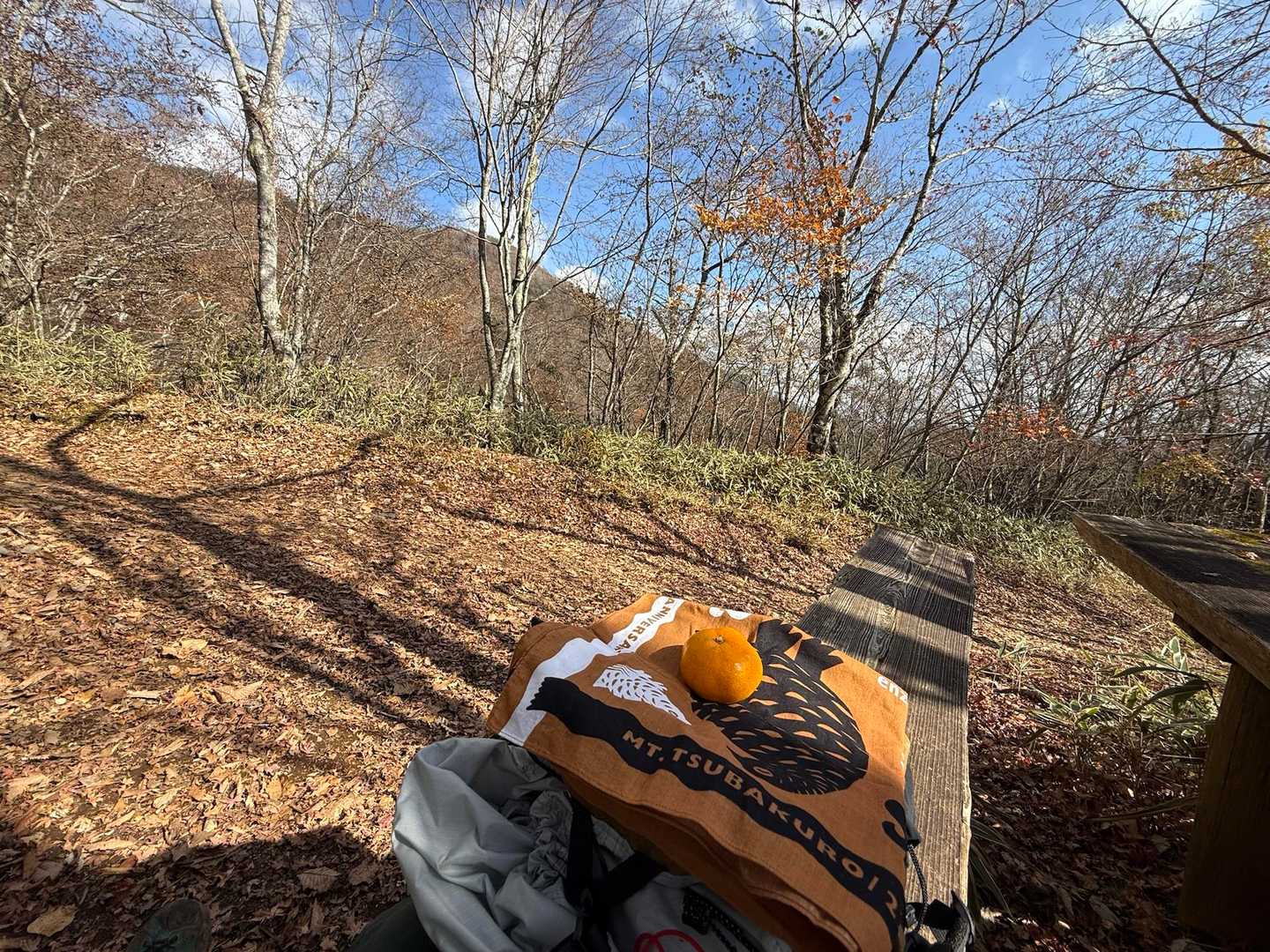 山頂手前のベンチで
おにぎりとミカンを食べて
静かな山歩き