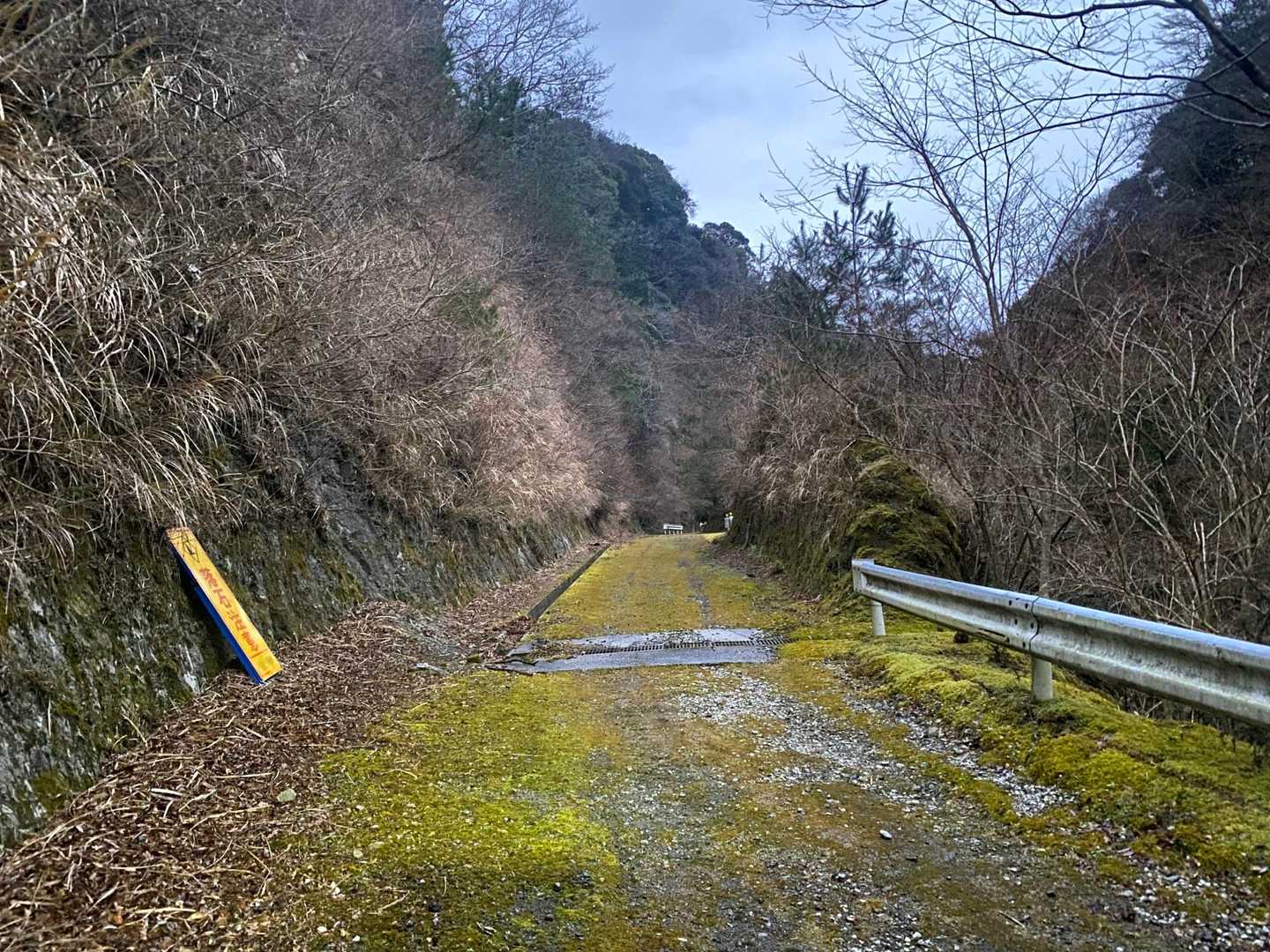 6時スタートで明るくなって来ました