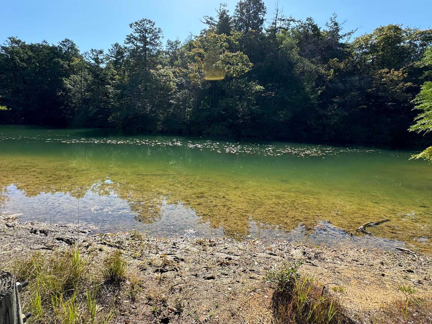 里南口バス停-アルプス登山口バス停-堂山-笹間ヶ岳 周回コースの写真