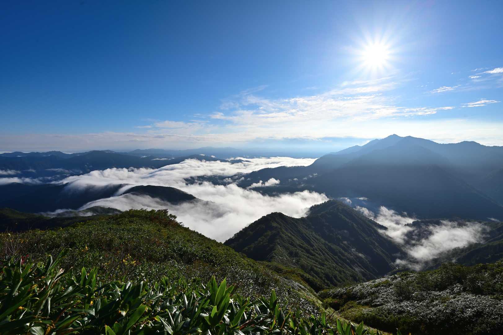 百草ノ池〜前駒間の景色。
疲れたら振り返って絶景に癒される。