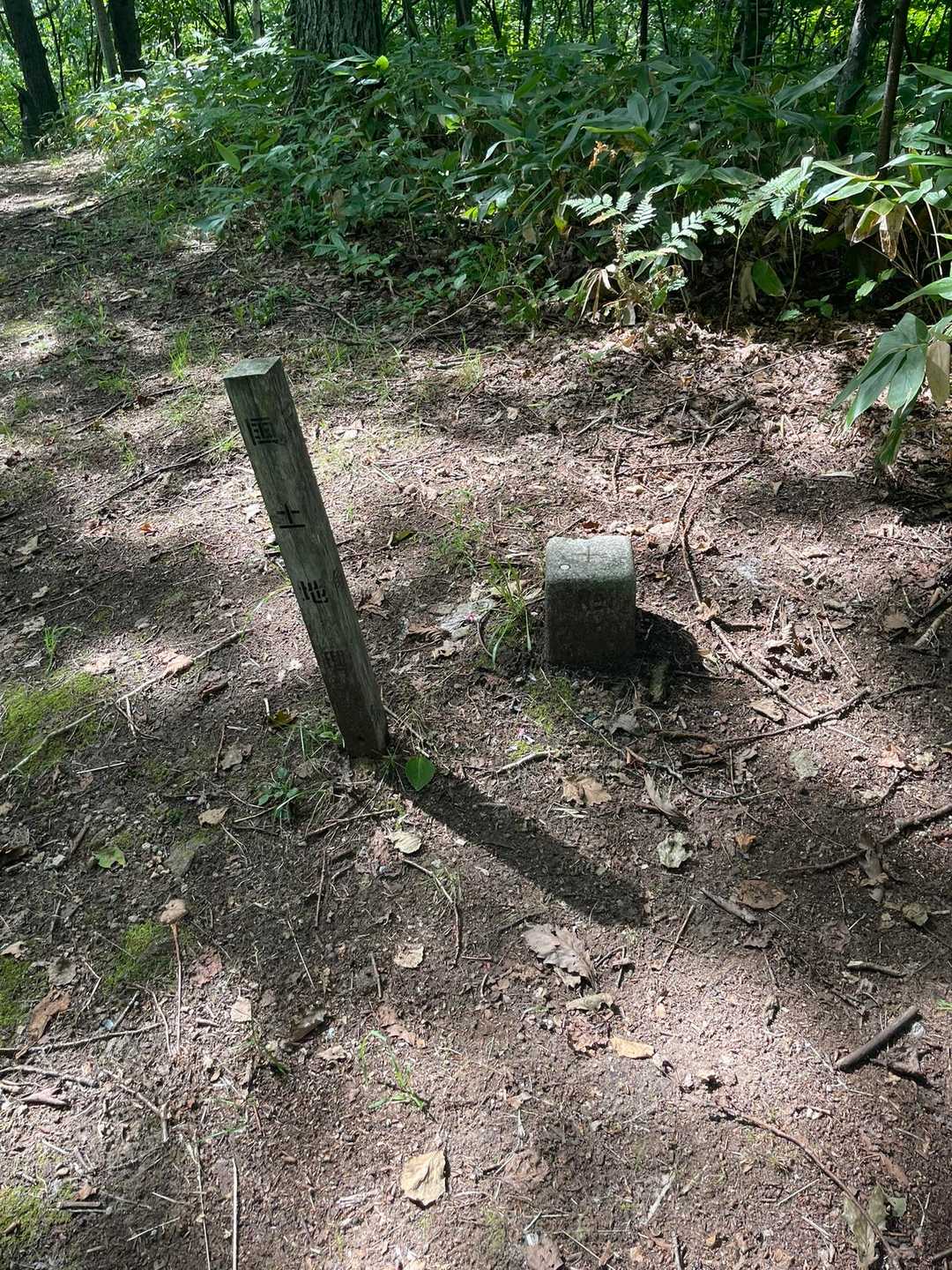 なまこ山ピーク❗️