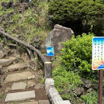 登山口。