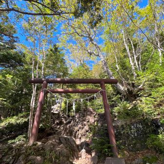 ⛩️をくぐり登ると