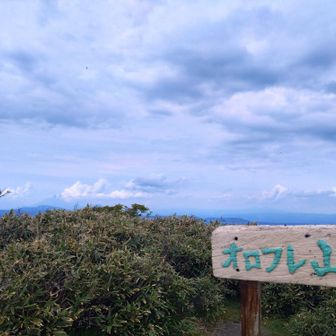 羊蹄🗻は雲の中