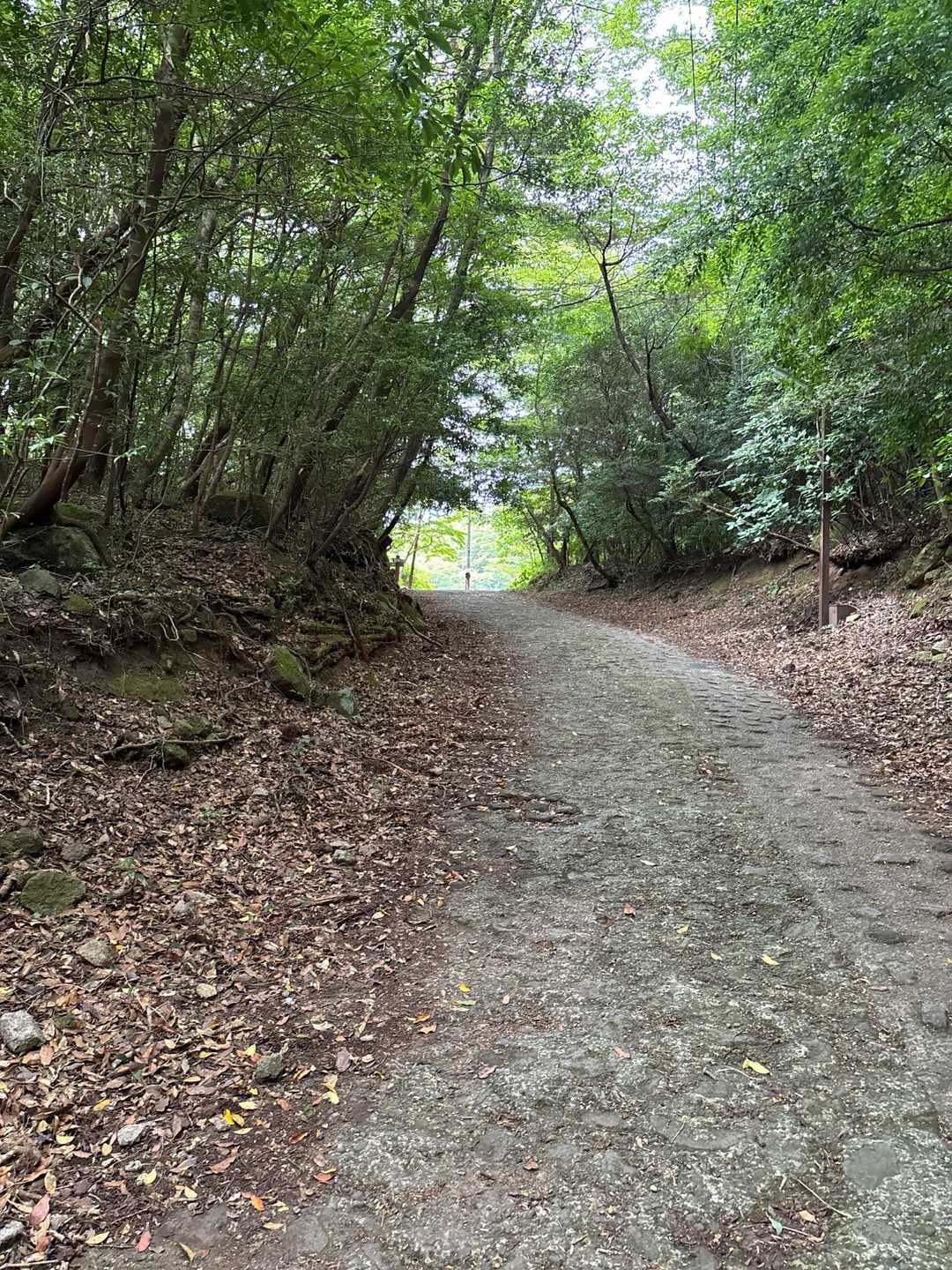 絹笠山-絹笠山登山口 周回コースの写真