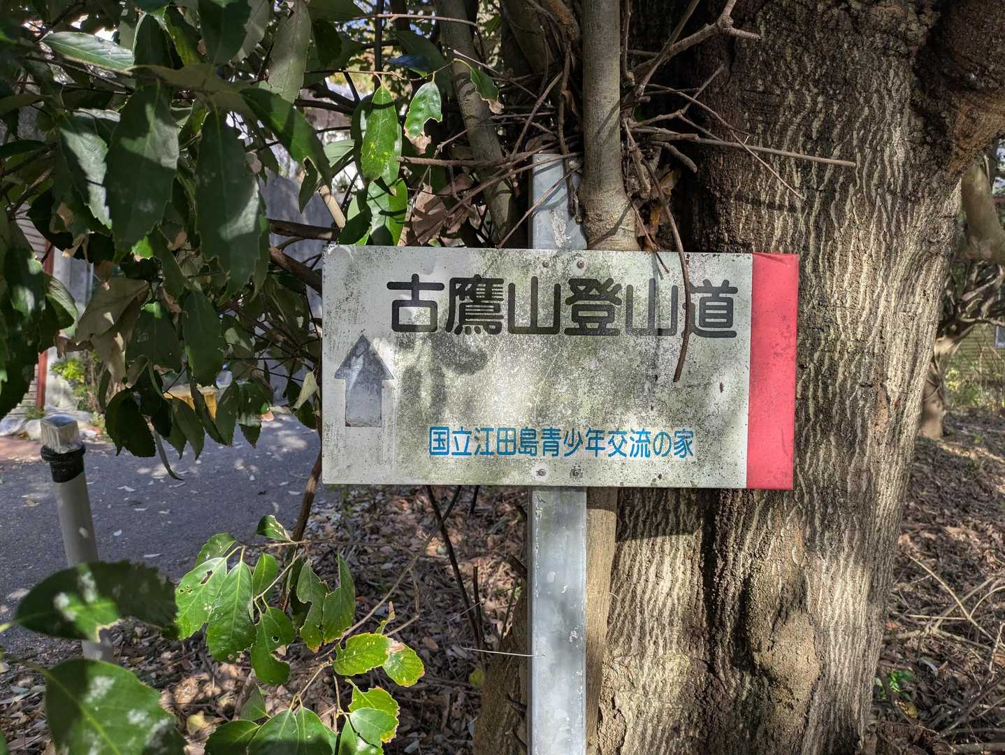 今日は私と相方と京都からの山友さんの3人で♪
ではでは、おじゃまします😀