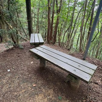 クロの尾山にはベンチがあります