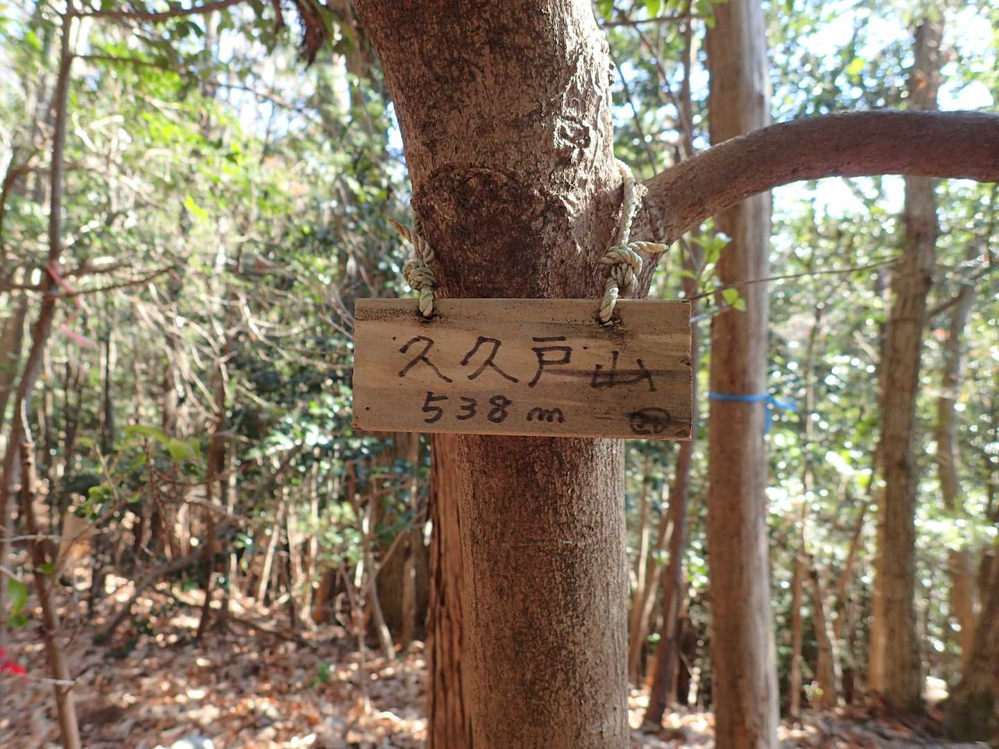 久久戸山
飯能百名山