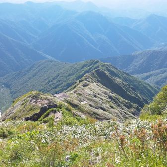 ここを登って来ました
沢山の高山植物もみれました🌸
