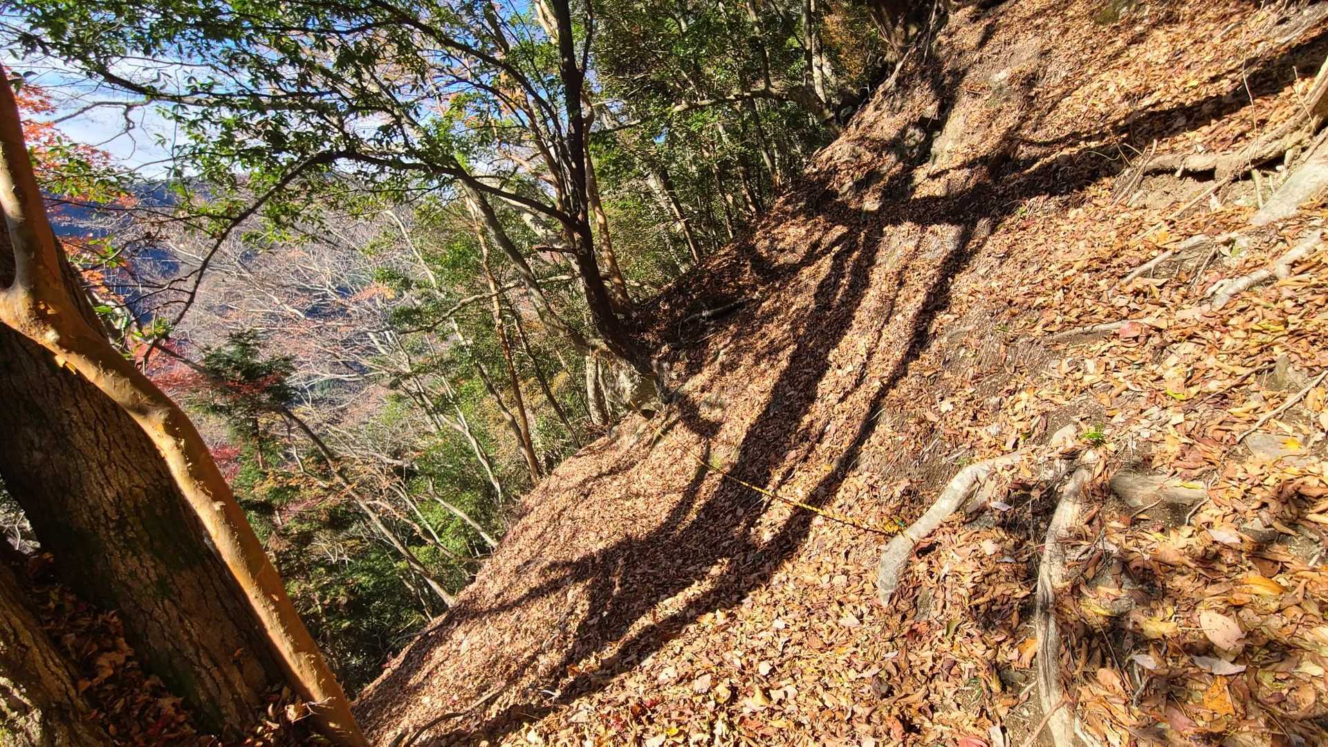 左は崖、極狭、落葉大量。
離山のクセの強さ④