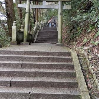 ただ、結構な斜度