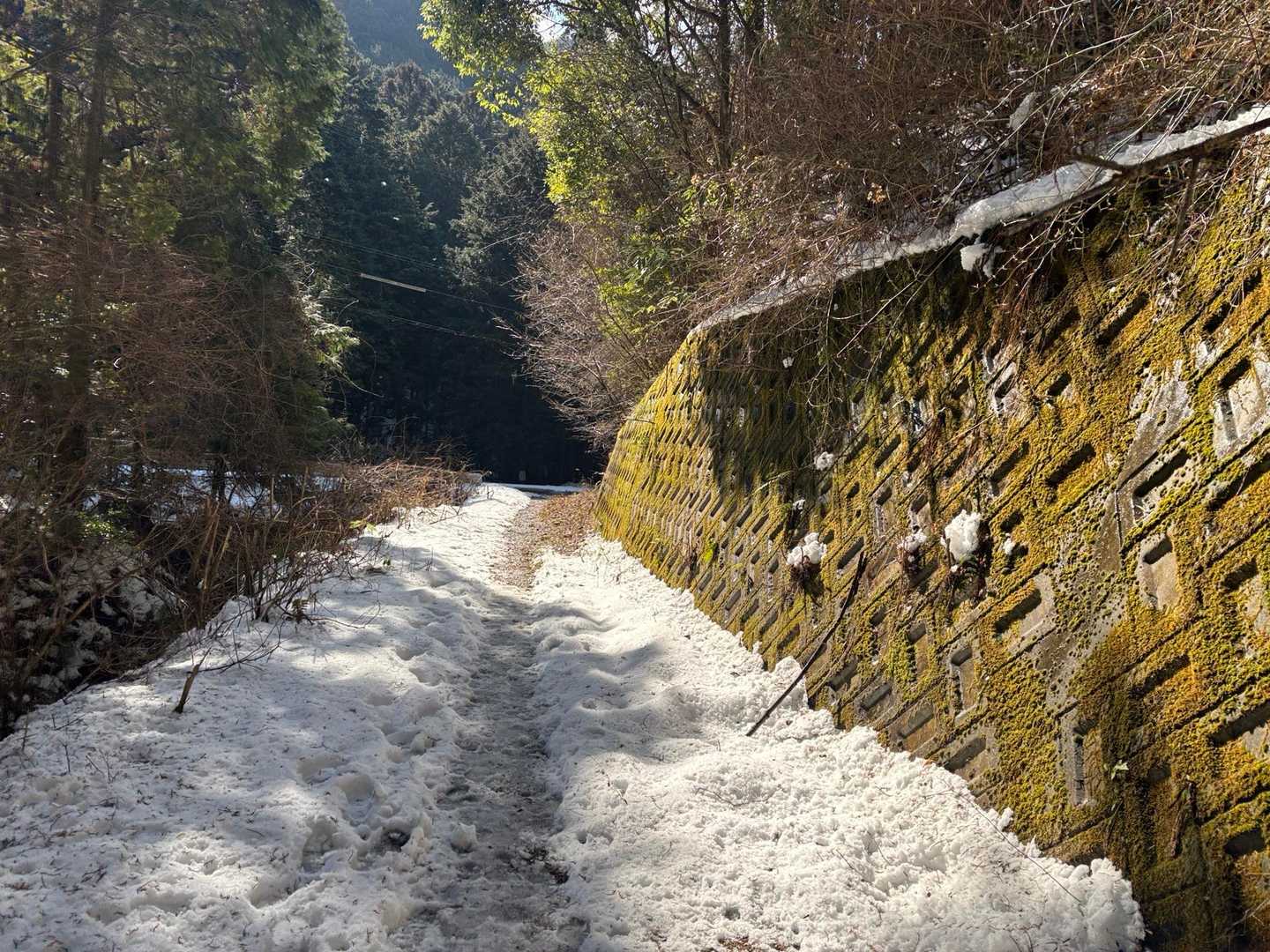 登山口まで雪でした
